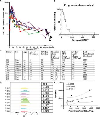 PD1 Expression in EGFRvIII-Directed CAR T Cell Infusion Product for Glioblastoma Is Associated with Clinical Response